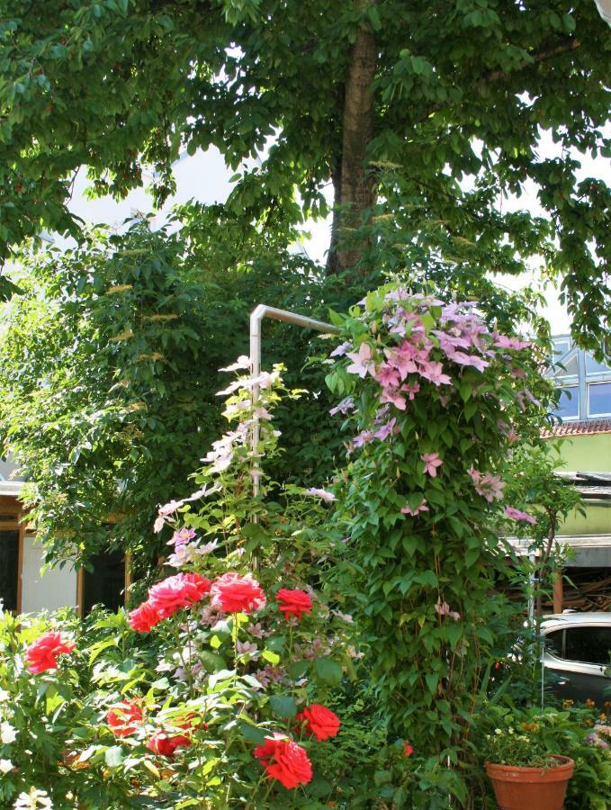 Herrenhof Worms Exterior photo